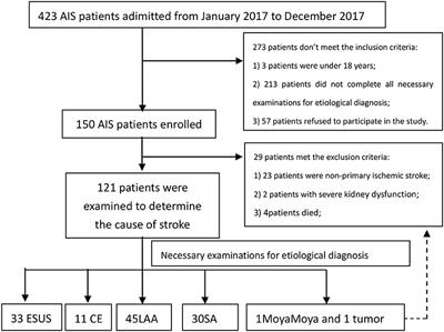 Clinical Features of Embolic Stroke of Undetermined Source